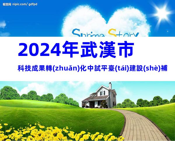 2024年武漢市科技成果轉(zhuǎn)化中試平臺(tái)建設(shè)補(bǔ)助資金申報(bào)條件、時(shí)間及獎(jiǎng)補(bǔ)